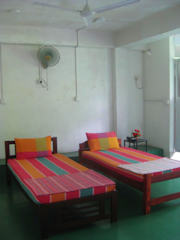 Photos of 335 Holiday Homes
