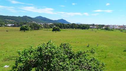 Hospedaria Greenの写真