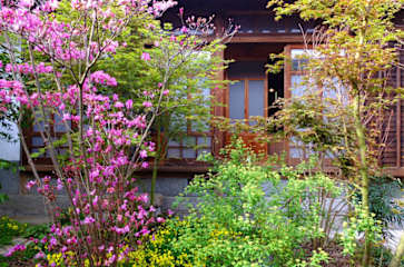 Photos of Shiomi House Island Village Hostel