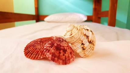 Photos of Luquillo Beach Hostel
