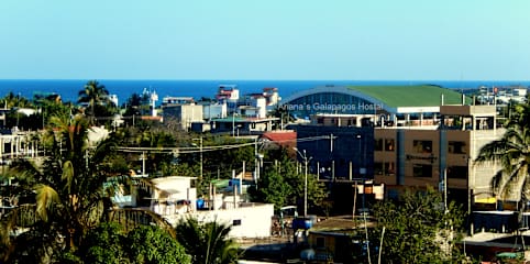 Photos of Ariana's Galapagos Hostal