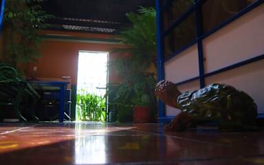 Photos of Eva y Ernesto