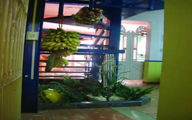 Photos of Eva y Ernesto