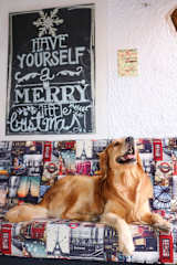 Photos of Calla'o el Loro Guest House Hostal