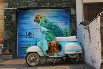 Photos of Calla'o el Loro Guest House Hostal