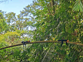 Fotos de Hostel Cascada Verde