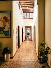 Photos of Wild Olive Guest house