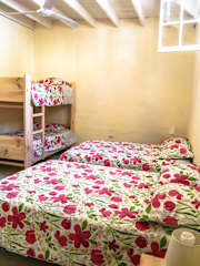 Photos of Wild Olive Guest house