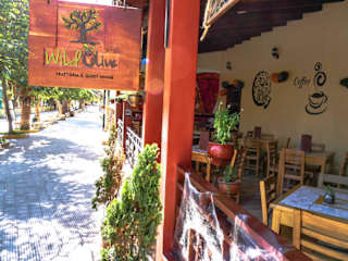 Photos of Wild Olive Guest house