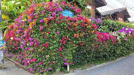 Siriwan Houseの写真