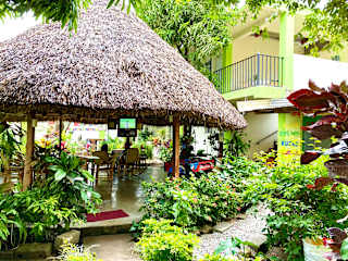 Hostal Casa Huasteca의 사진