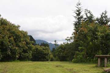 Fotos de