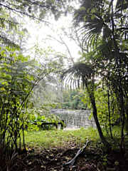 Fotos de
