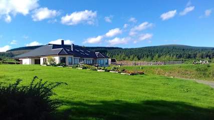 Photos of Lus Mor Wicklow Way