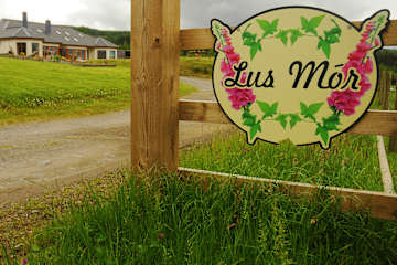 Photos of Lus Mor Wicklow Way