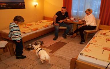 Photos of Hostel Cafe Razy