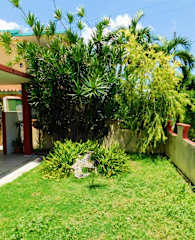 Photos of Residencia Fuentes