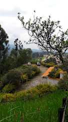 Hostal Finca Cardonalesの写真