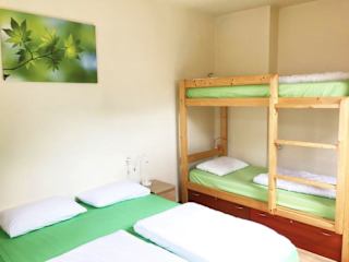 Photos of Green Orange House
