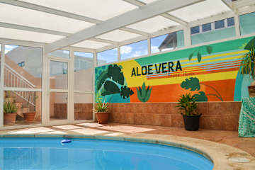 Fotos de Aloe Vera Shared House