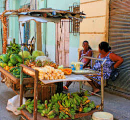 Photos of Concordia Backpackers