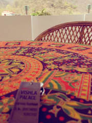 Photos of Hotel Vishla Palace