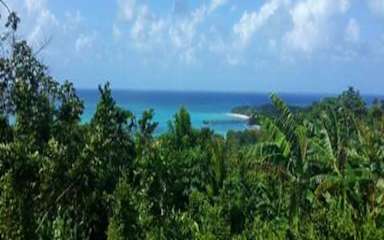 Photos of Island Roots Hostel