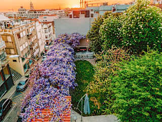 Photos of Urban Garden Porto Central Hostel