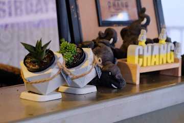 Photos of Chang Hostel Suvarnabhumi