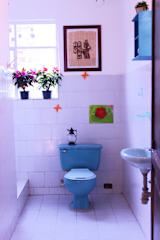 Photos of Local Hostel