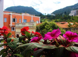 Photos of Local Hostel