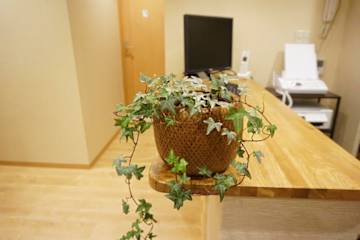 Photos of Hostel Rakutsuki
