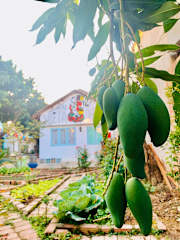 Vietnam Phuot Homestayの写真