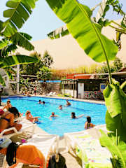 Photos of Carola Lodge