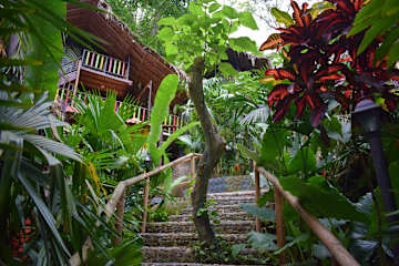 Fotos de 