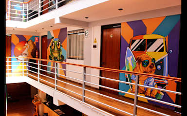 Photos of Magicpacker Hostel