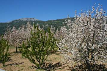 Photos of Giovanna Guesthouse