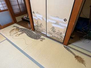 照片