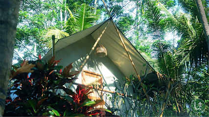 Photos of Ubud Tropical