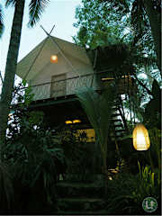 Photos of Ubud Tropical