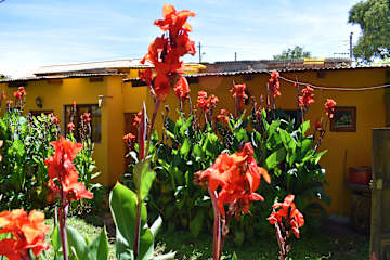 Fotos de 