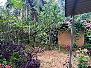 Photos de