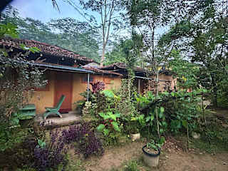 Photos de