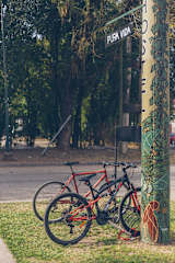 Fotky
