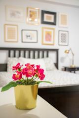 Photos of Travel & Live Hostel