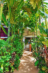 Photos of Bokre Angkor Hostel