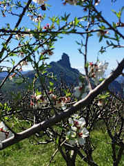 Fotos de Mountain Hostel & House Finca La Isa by Rose