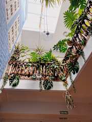Photos of The Urban Jungle Rooftop Hostel