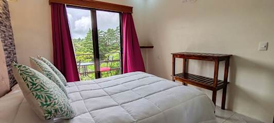 Studio Apartments Coati - Sloth B&B Monteverdeの写真