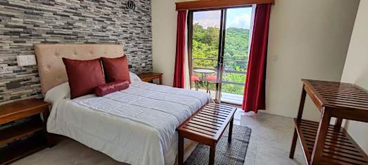Studio Apartments Coati - Sloth B&B Monteverdeの写真